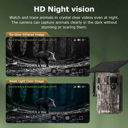 24MP AI Dual Lens CMOS Solar Hunting Camera 4G LTE Trail Camera Live View PIR Motion Detection Night Vision IP66 Cloud Storage