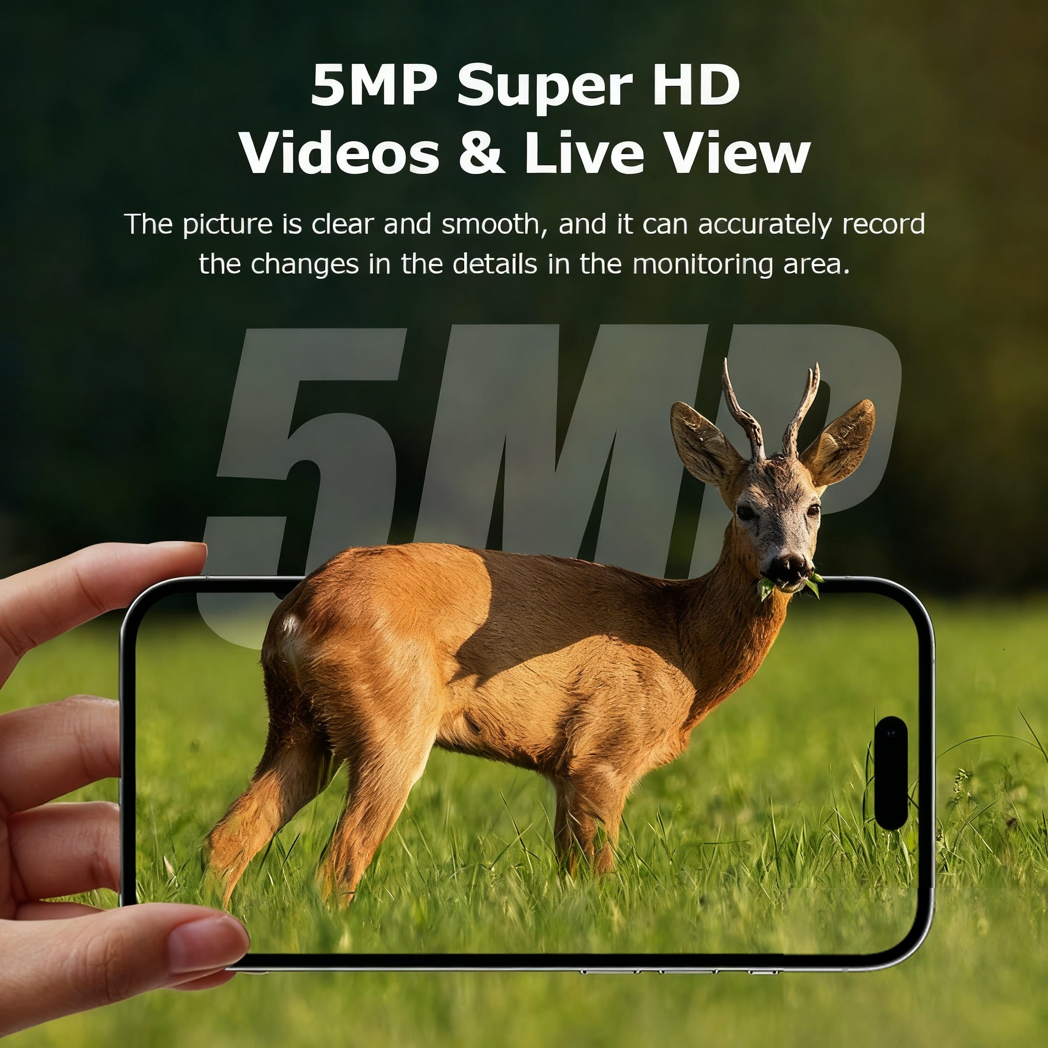 ShiWoJia 808 3MP Hunting Trail Camera – Solar, Night Vision, Outdoor Wildlife Cam